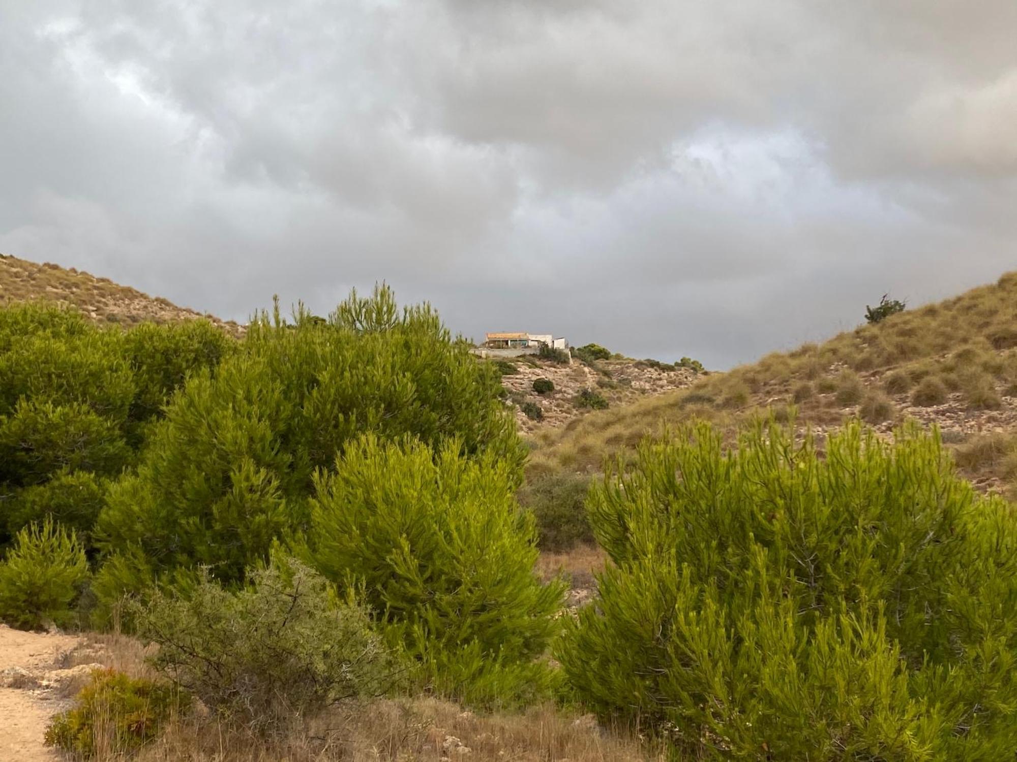 Petirrojo Villa Santa Pola Bagian luar foto